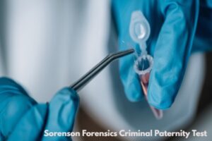 sorenson forensics criminal paternity test