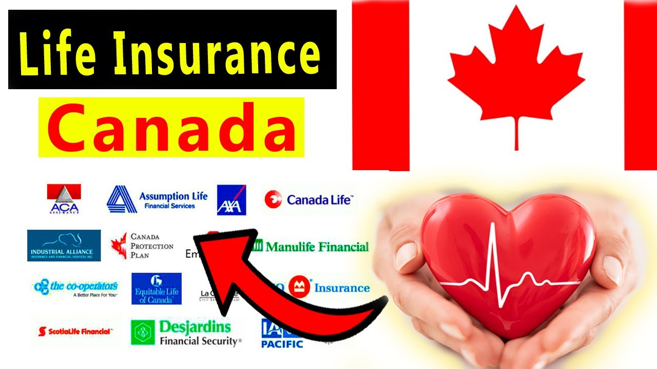 Best Term Life Insurance Companies in Canada JOBS A1